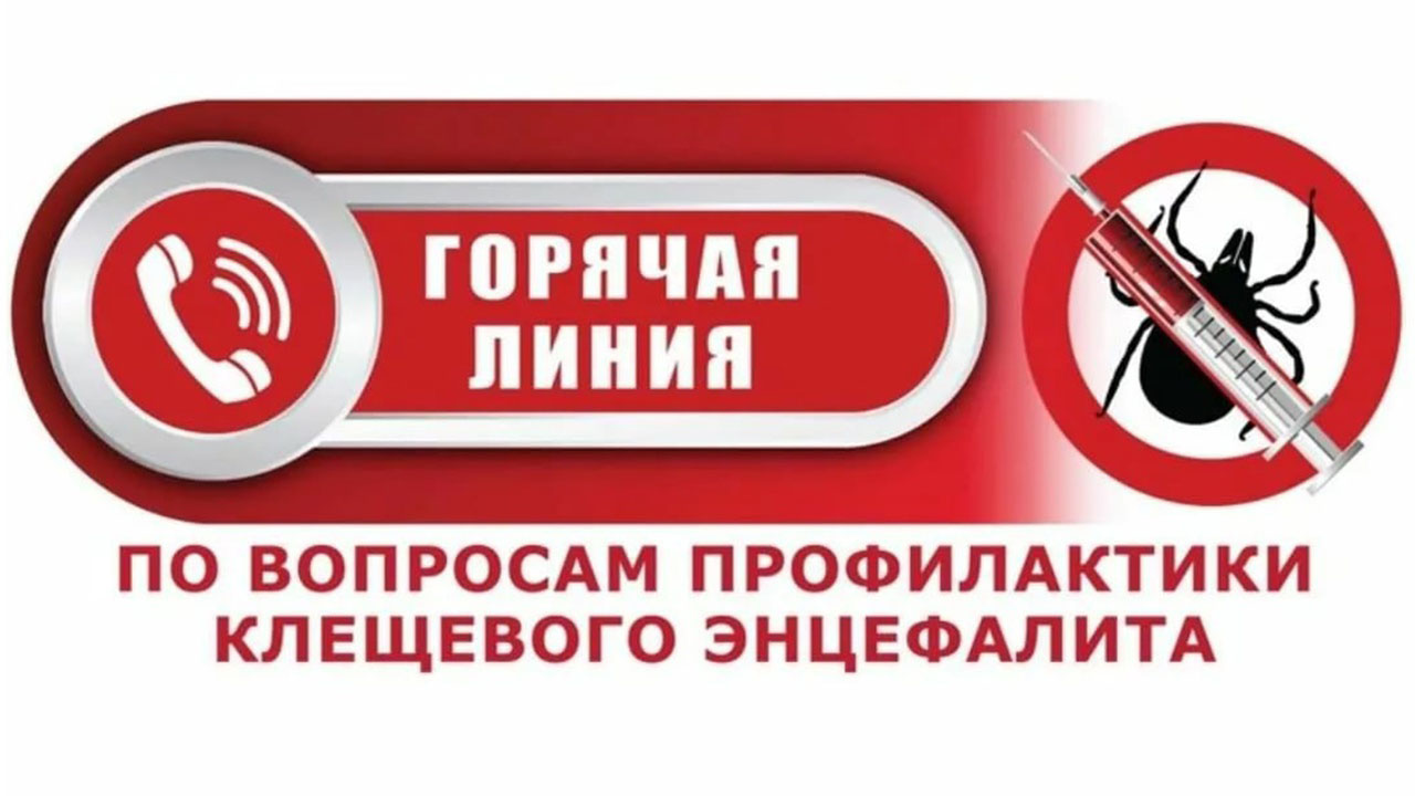клещи.jpg